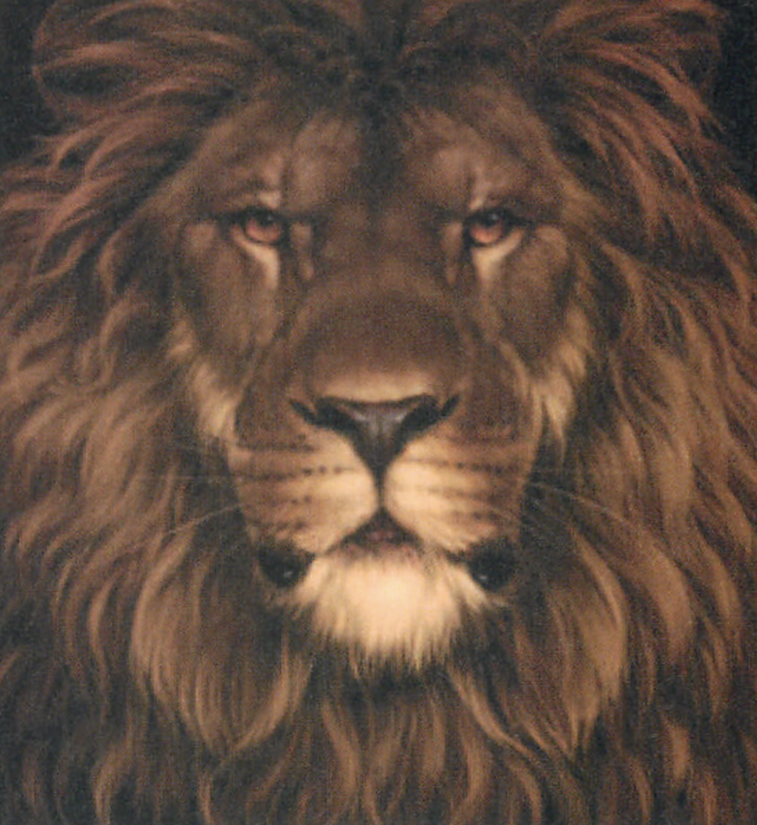 当院で初めての診療時に行うこと